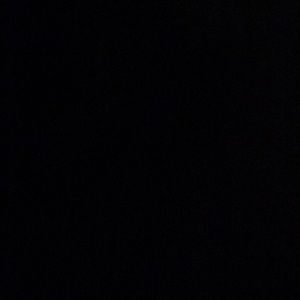 Meet your Posher, Bella